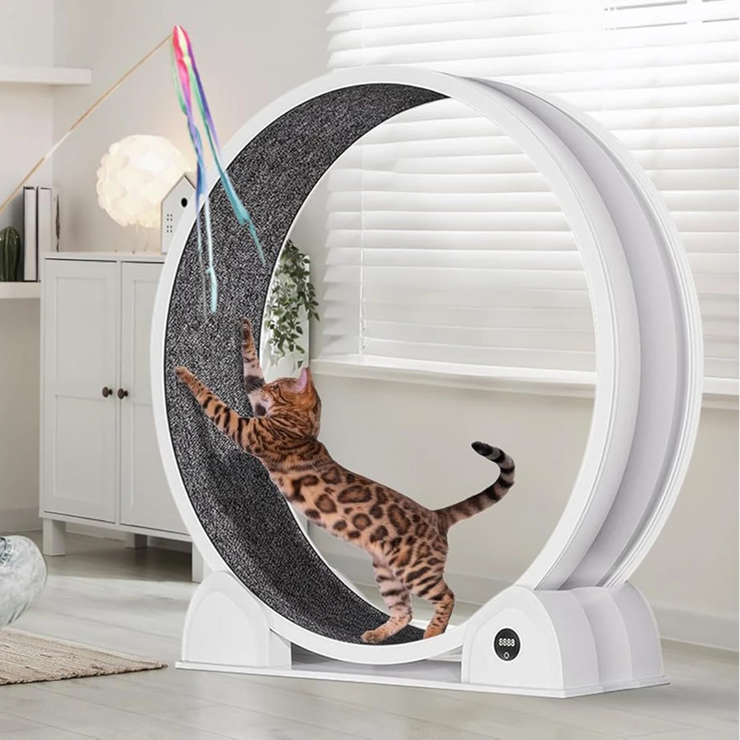 ABS Cat Exercise Wheel with Pedometer for Indoor Cats by PetZync