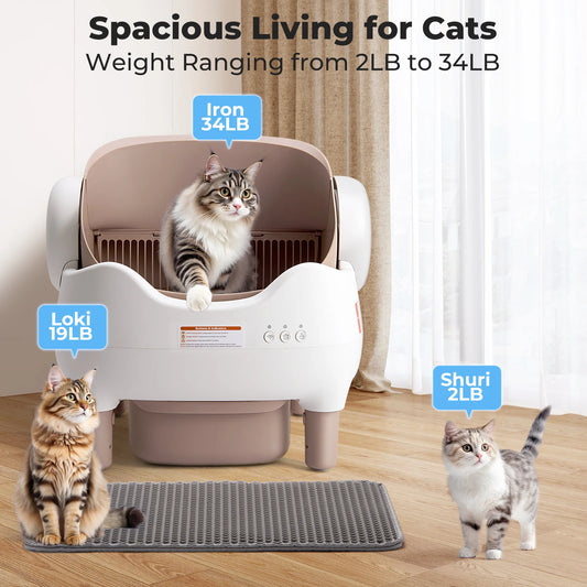 Open-Top Self-Cleaning Cat Litter Box with App Control and Large Waste Bin by PetZync