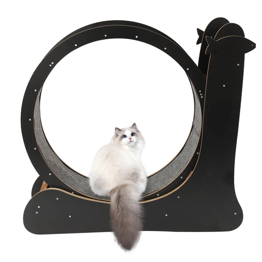 Indoor Cat Exercise Wheel with Carpeted Runway by PetZync