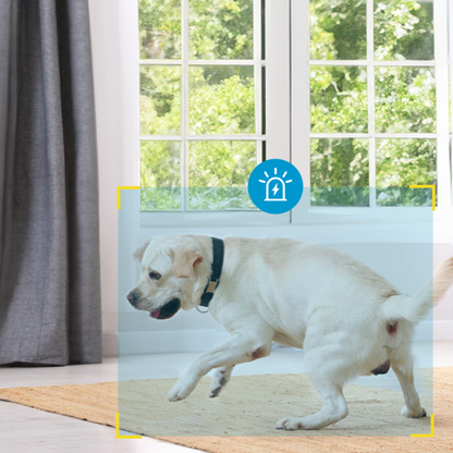5MP Dual-Band WiFi Pet Monitoring Camera with 360° Pan, Night Vision, and 2-Way Audio by PetZync