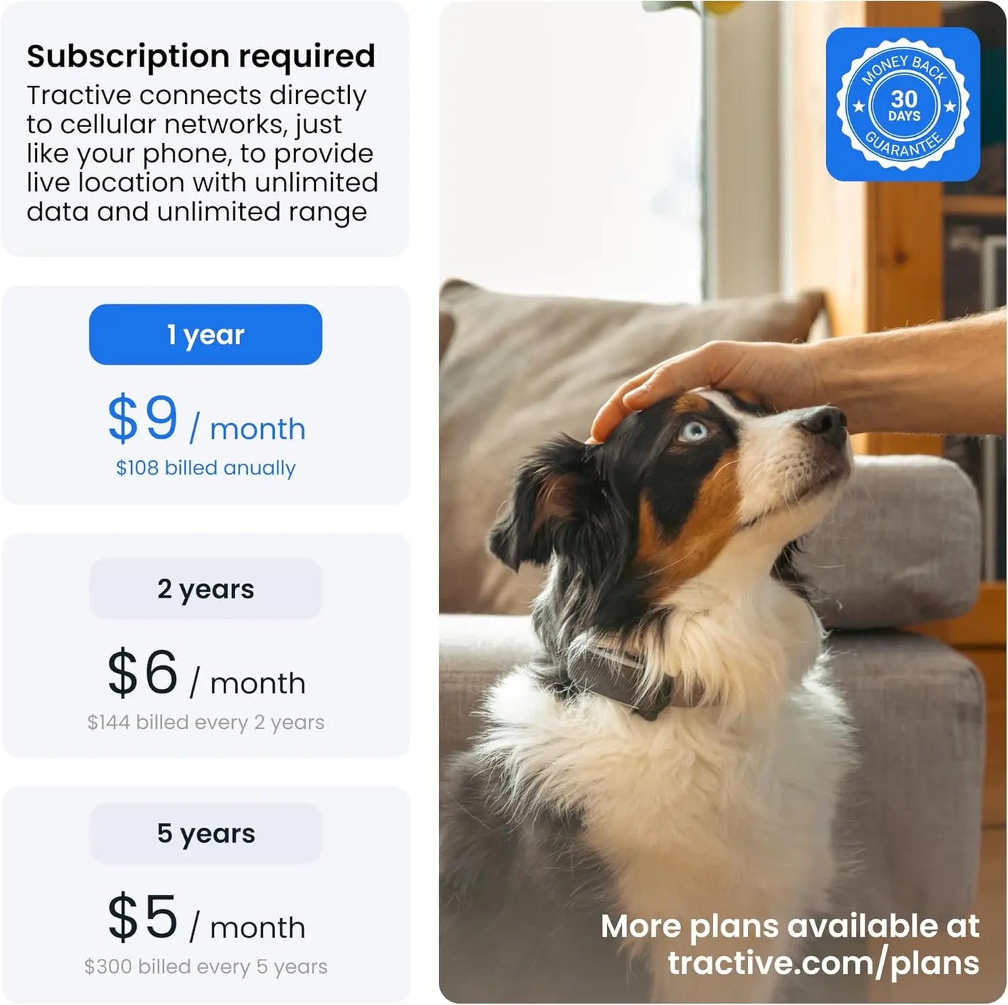 Smart GPS Dog Tracker with Live Tracking, Health Monitoring, and Virtual Fence by PetZync