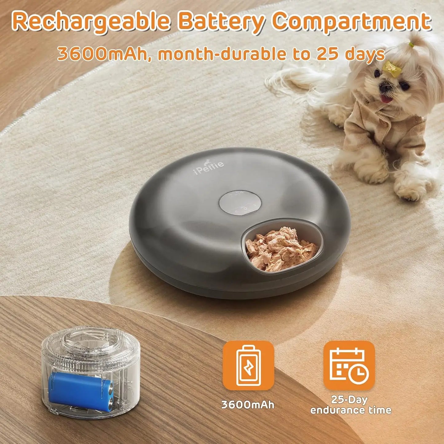 Cordless Automatic Wet & Dry Pet Feeder with Ice Packs and Programmable Timer by PetZync