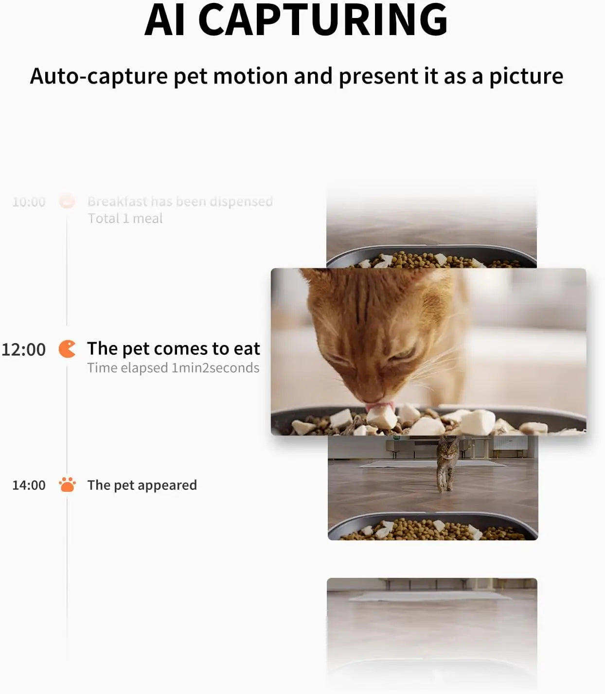 Smart Automatic Pet Feeder with 1080P Camera, Dual Hopper, and Two-Way Audio by PetZync