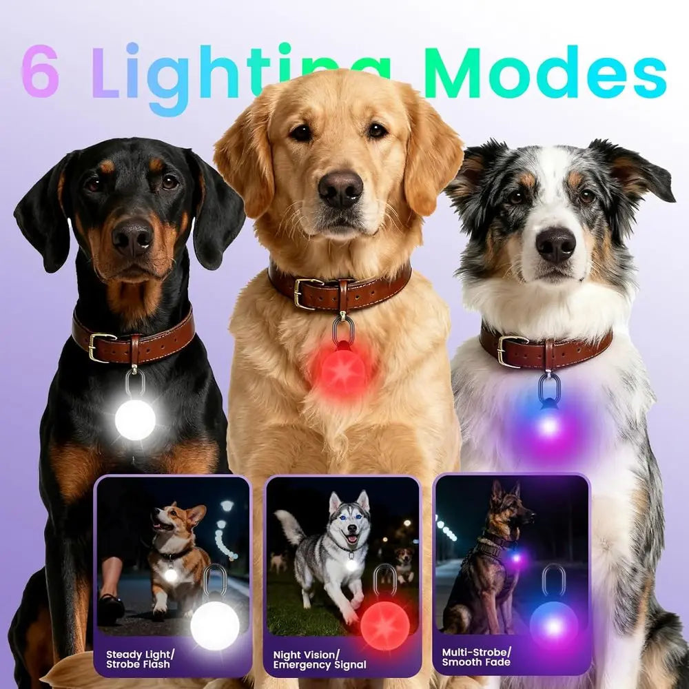 2-in-1 iOS Dog Tracker Light with LED Safety Modes, No Monthly Fee by PetZync