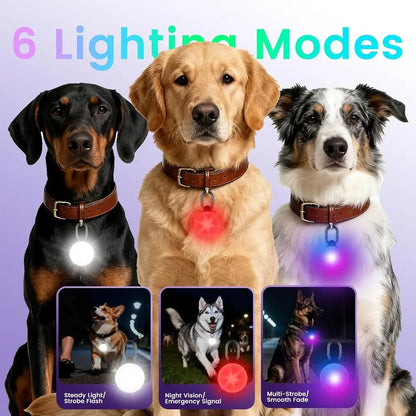 2-in-1 iOS Dog Tracker Light with LED Safety Modes, No Monthly Fee by PetZync