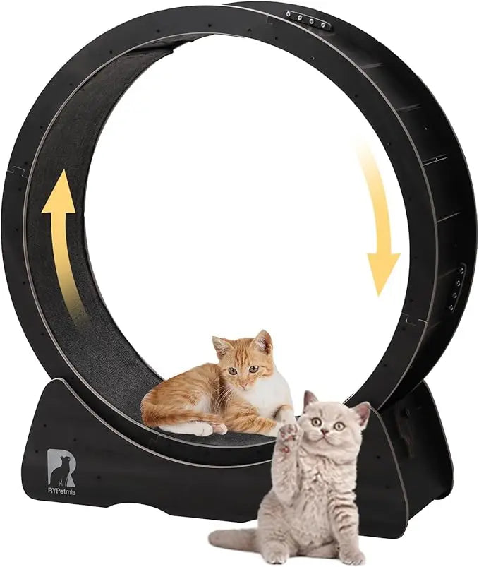 43-Inch Indoor Cat Exercise Wheel with Safety Lock by PetZync