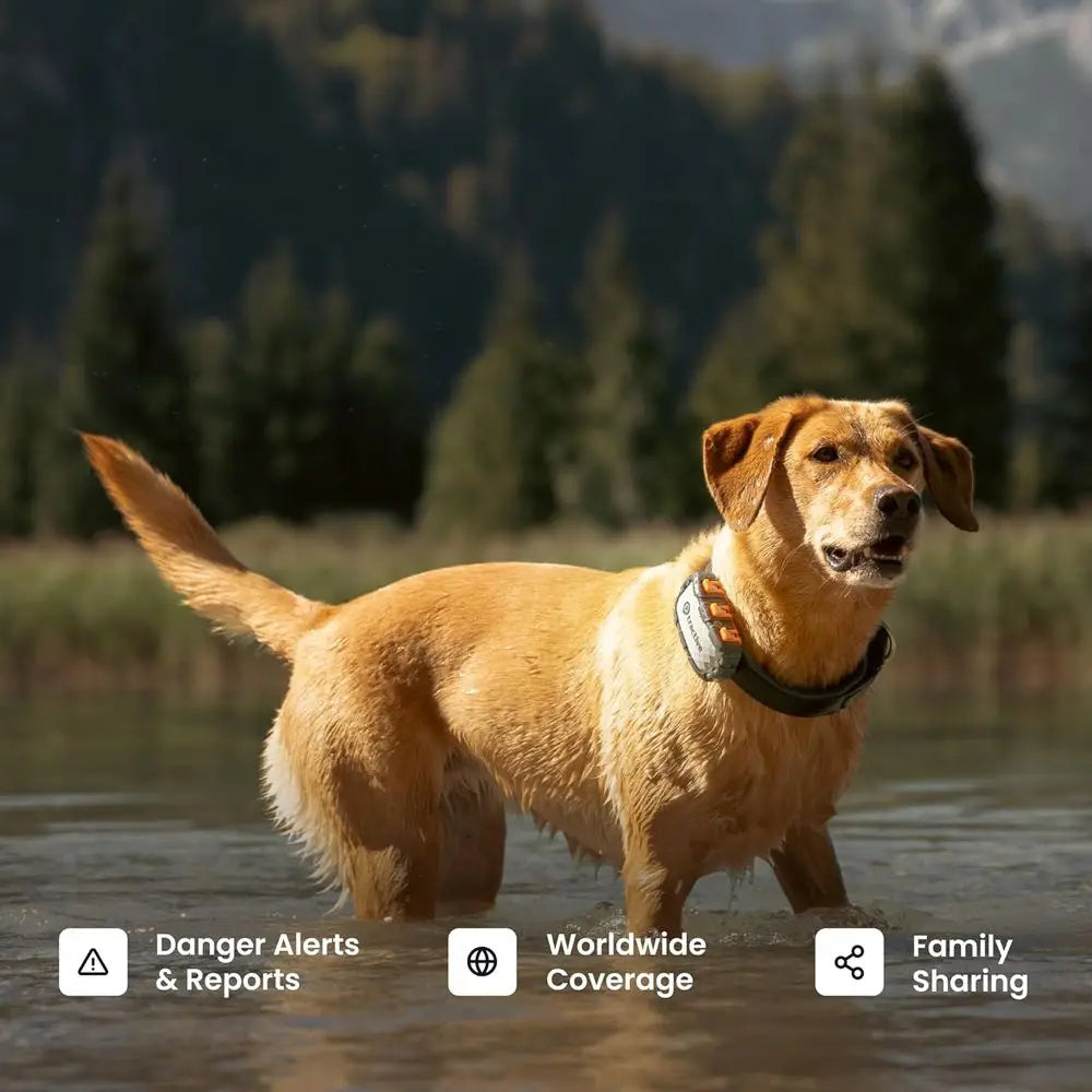 XL Smart GPS Dog Tracker with Virtual Fence, Health Monitoring, and 1-Month Battery by PetZync