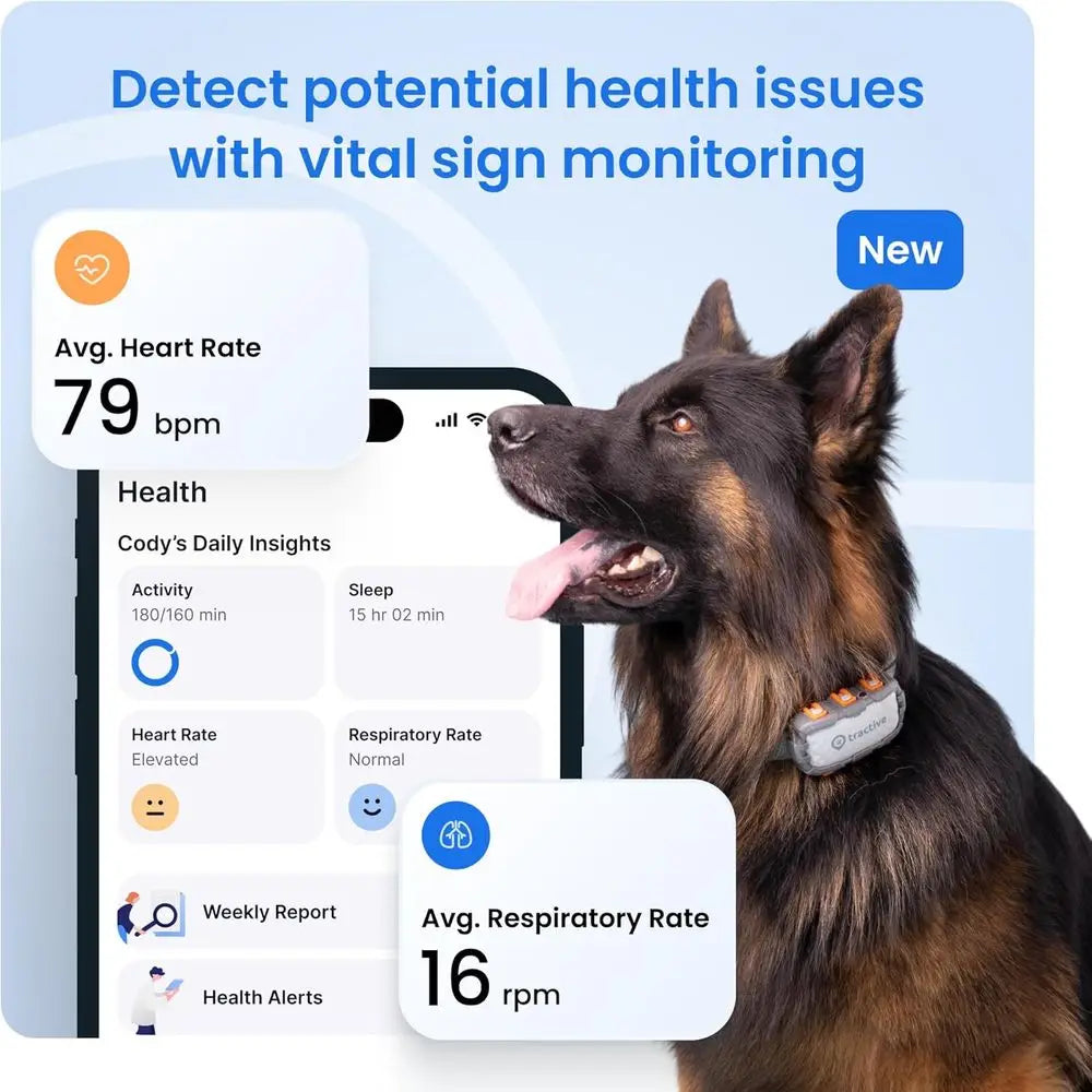 XL Smart GPS Dog Tracker with Virtual Fence, Health Monitoring, and 1-Month Battery by PetZync