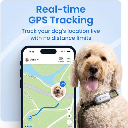 XL Smart GPS Dog Tracker with Virtual Fence, Health Monitoring, and 1-Month Battery by PetZync