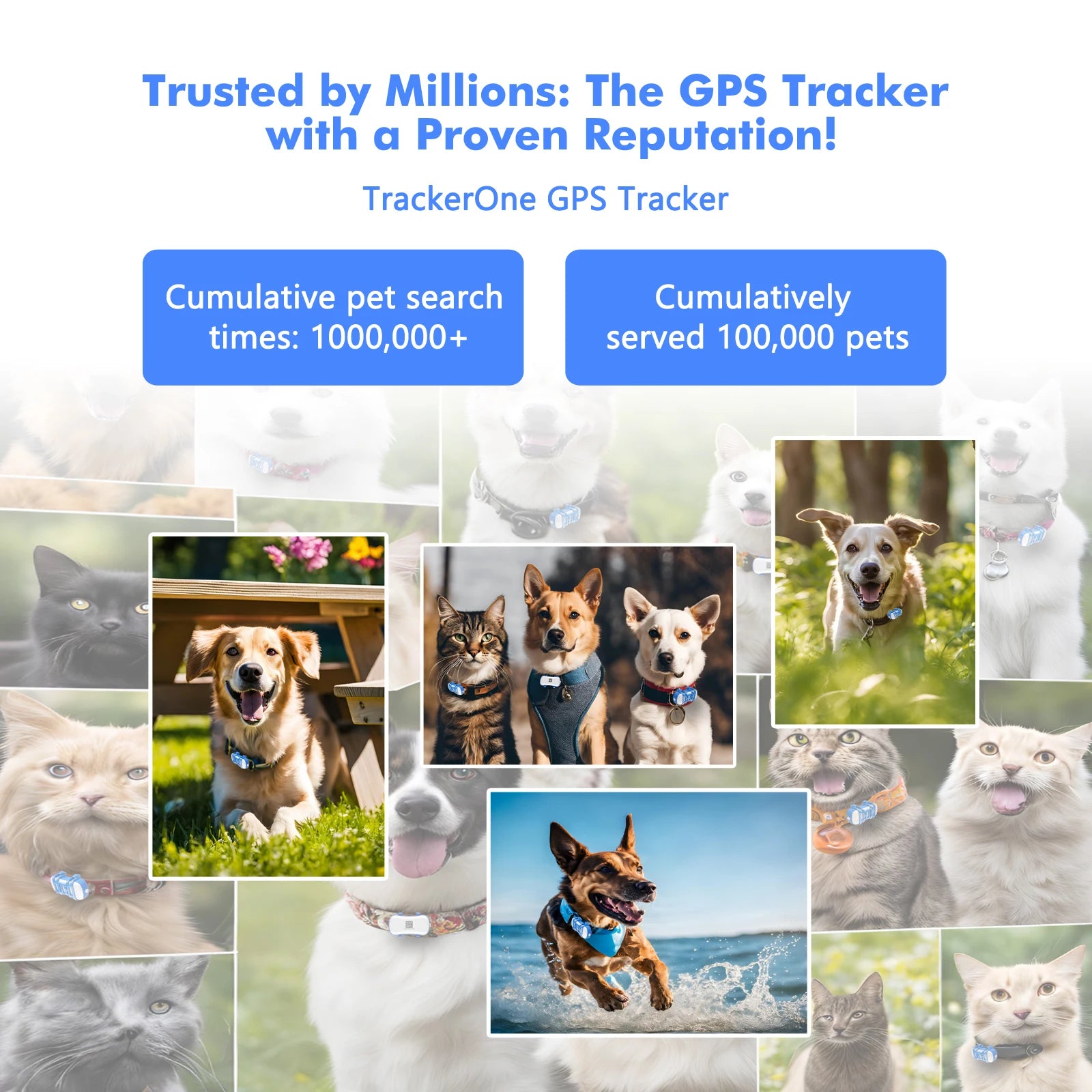 GPS Pet Tracker with Real-Time Location, Geofencing, and 1-Year Service Included by PetZync