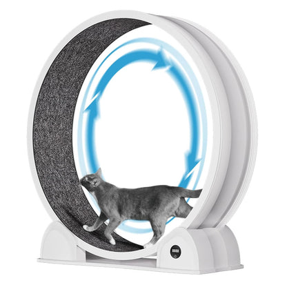 ABS Cat Exercise Wheel with Pedometer for Indoor Cats by PetZync