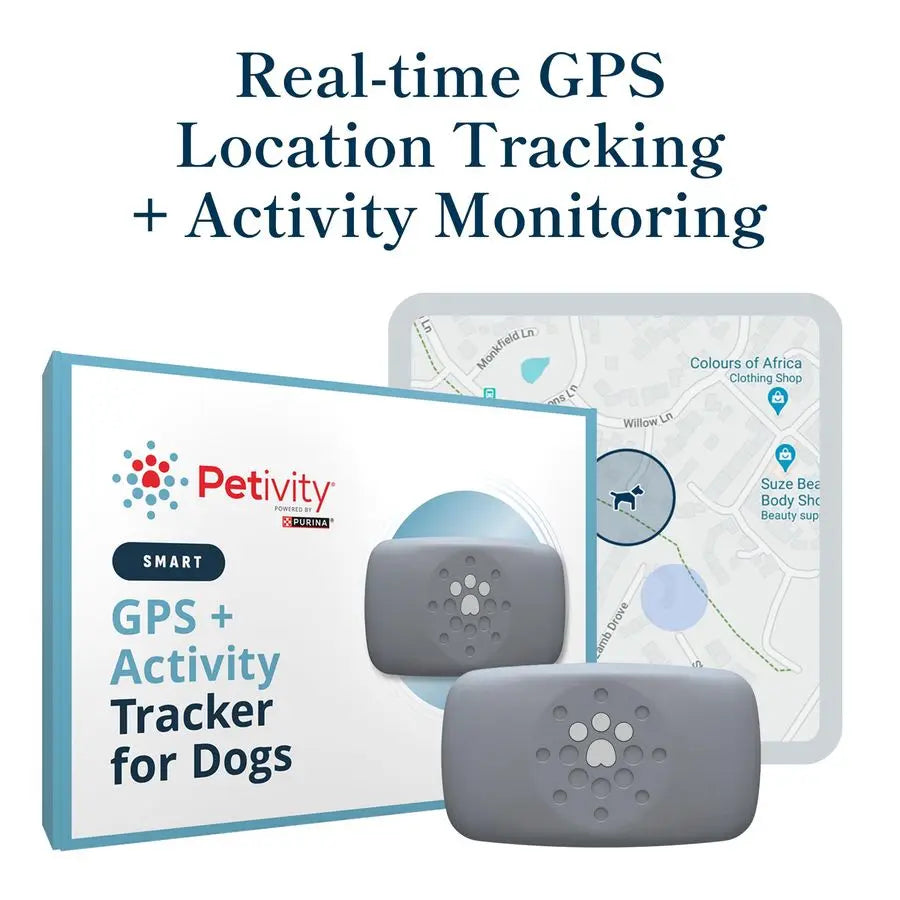 Smart GPS Dog Tracker with Real-Time Location and Activity Monitoring by PetZync