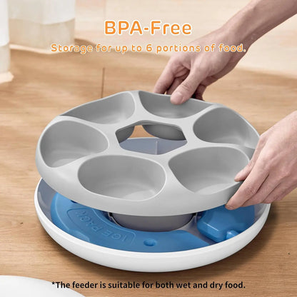 Cordless Automatic Wet & Dry Pet Feeder with Ice Packs and Programmable Timer by PetZync