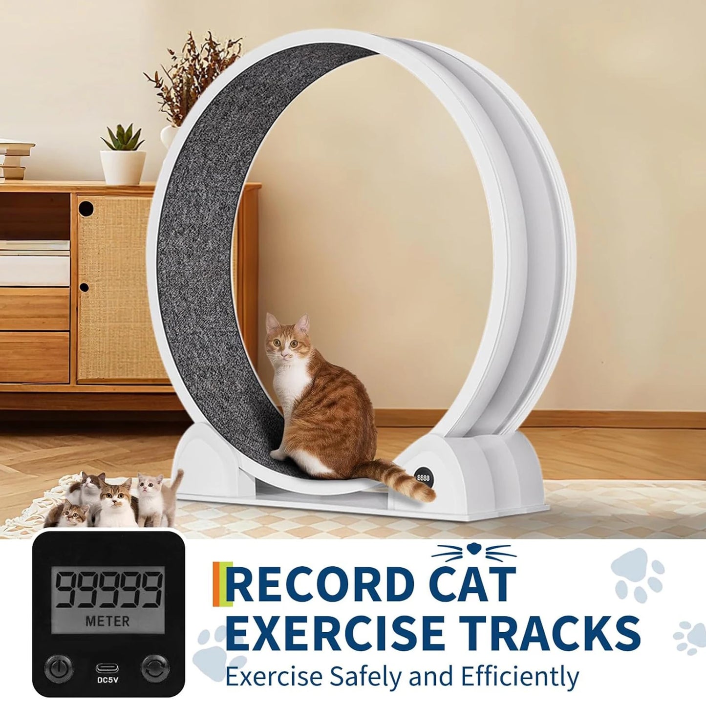ABS Cat Exercise Wheel with Pedometer for Indoor Cats by PetZync