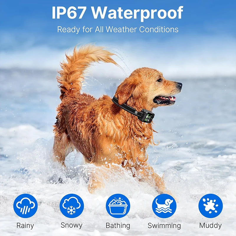 GPS Wireless Dog Fence Collar with Adjustable Boundary Range by PetZync