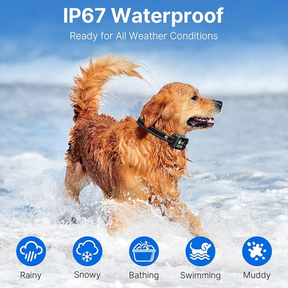GPS Wireless Dog Fence Collar with Adjustable Boundary Range by PetZync