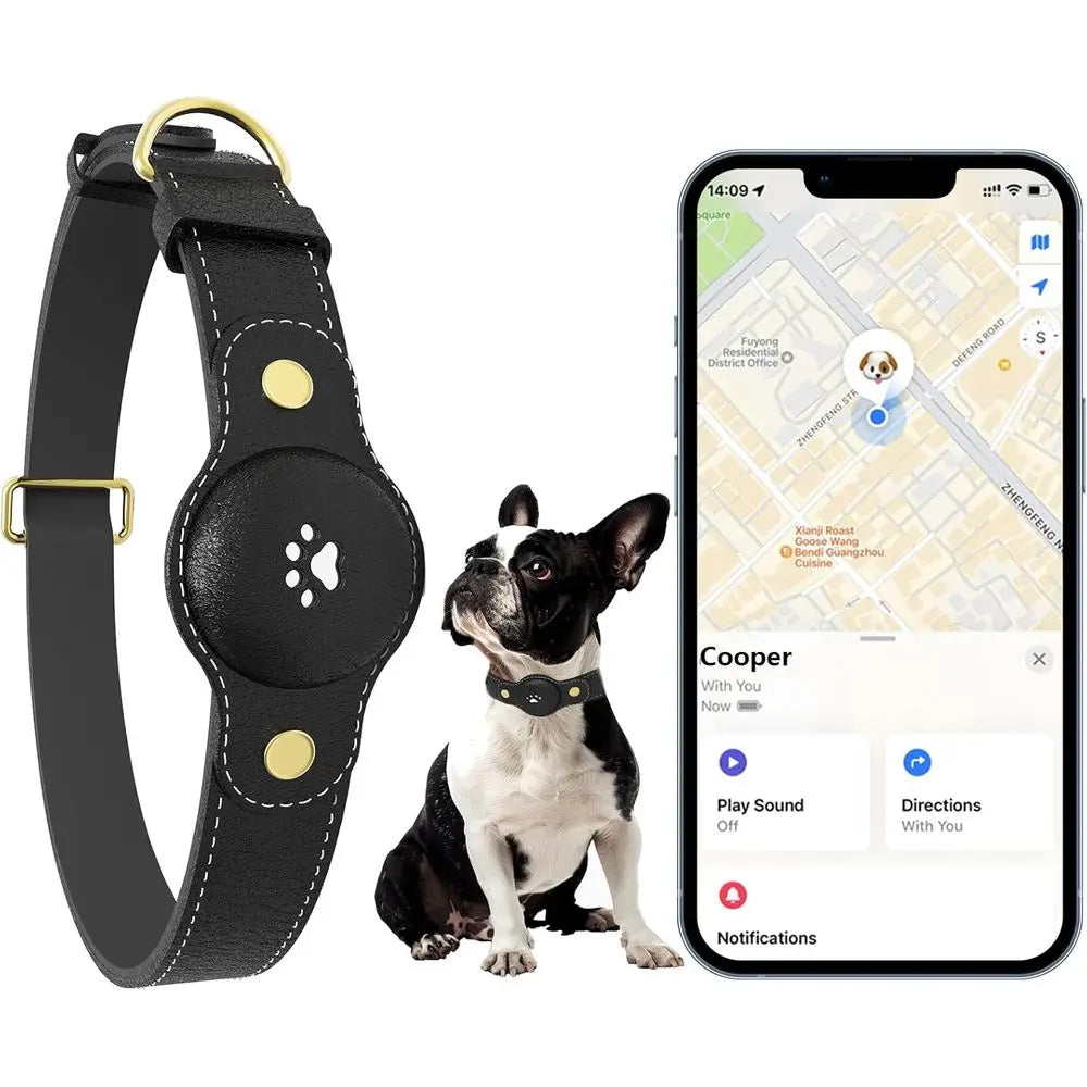 iOS Dog Tracking Collar with Apple Find My Support, No Monthly Fee by PetZync