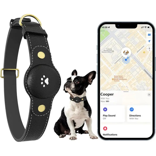 iOS Dog Tracking Collar with Apple Find My Support, No Monthly Fee by PetZync