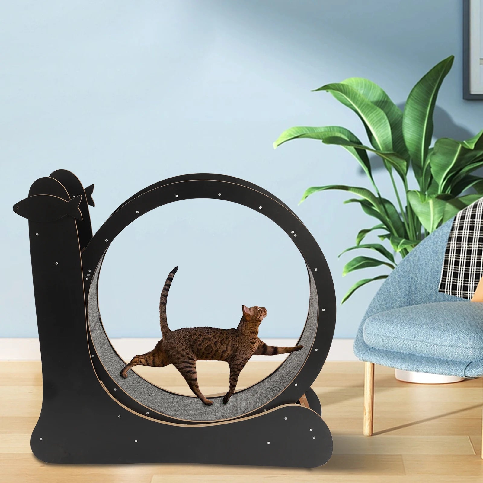 Indoor Cat Exercise Wheel with Carpeted Runway by PetZync
