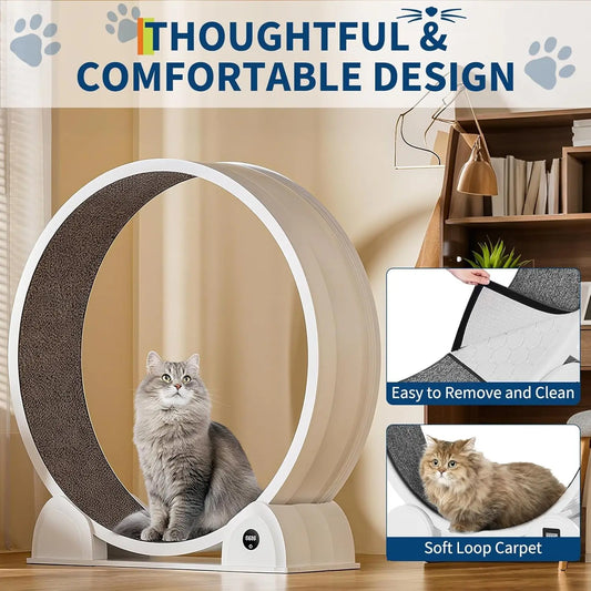ABS Cat Exercise Wheel with Pedometer for Indoor Cats by PetZync
