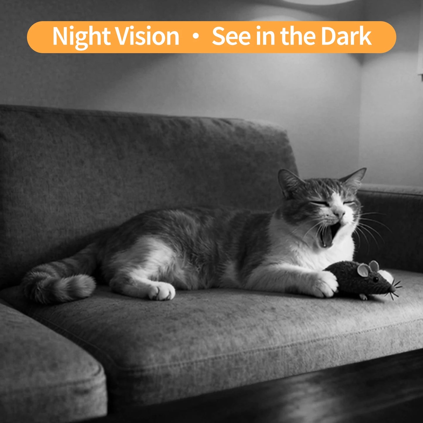 AI Pet Monitoring Camera with 2-Way Audio and Night Vision by PetZync