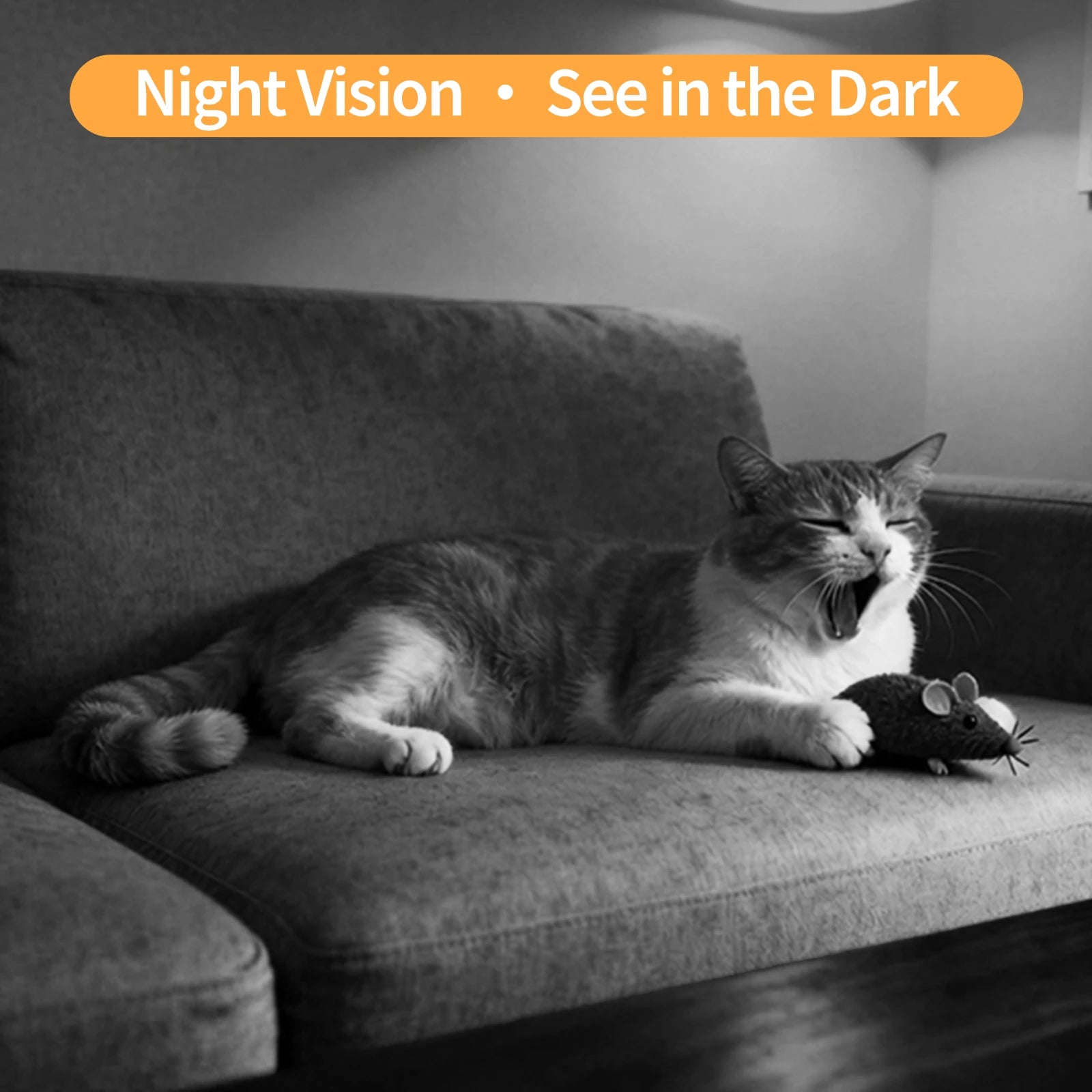 AI Pet Monitoring Camera with 2-Way Audio and Night Vision by PetZync