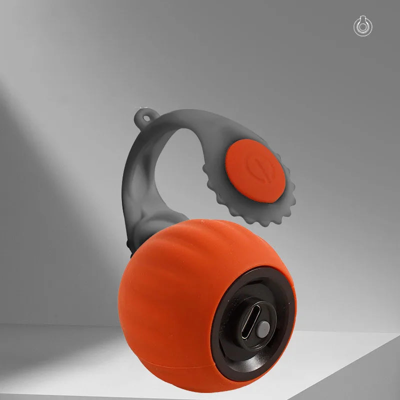Rechargeable Interactive Rolling Cat Toy Ball with Teaser Tail by PetZync