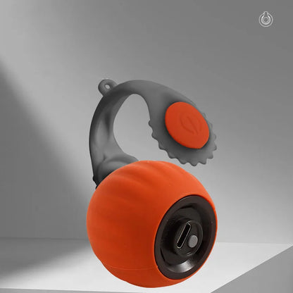 Rechargeable Interactive Rolling Cat Toy Ball with Teaser Tail by PetZync