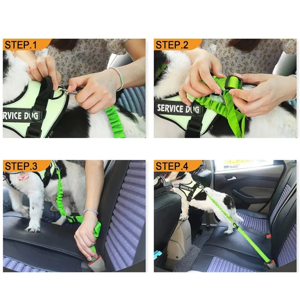 Reflective Adjustable Dog Car Seat Belt with Bungee Safety Leash by PetZync