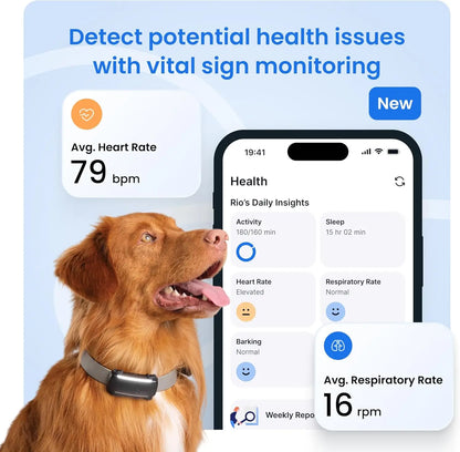 Smart GPS Dog Tracker with Live Tracking, Health Monitoring, and Virtual Fence by PetZync
