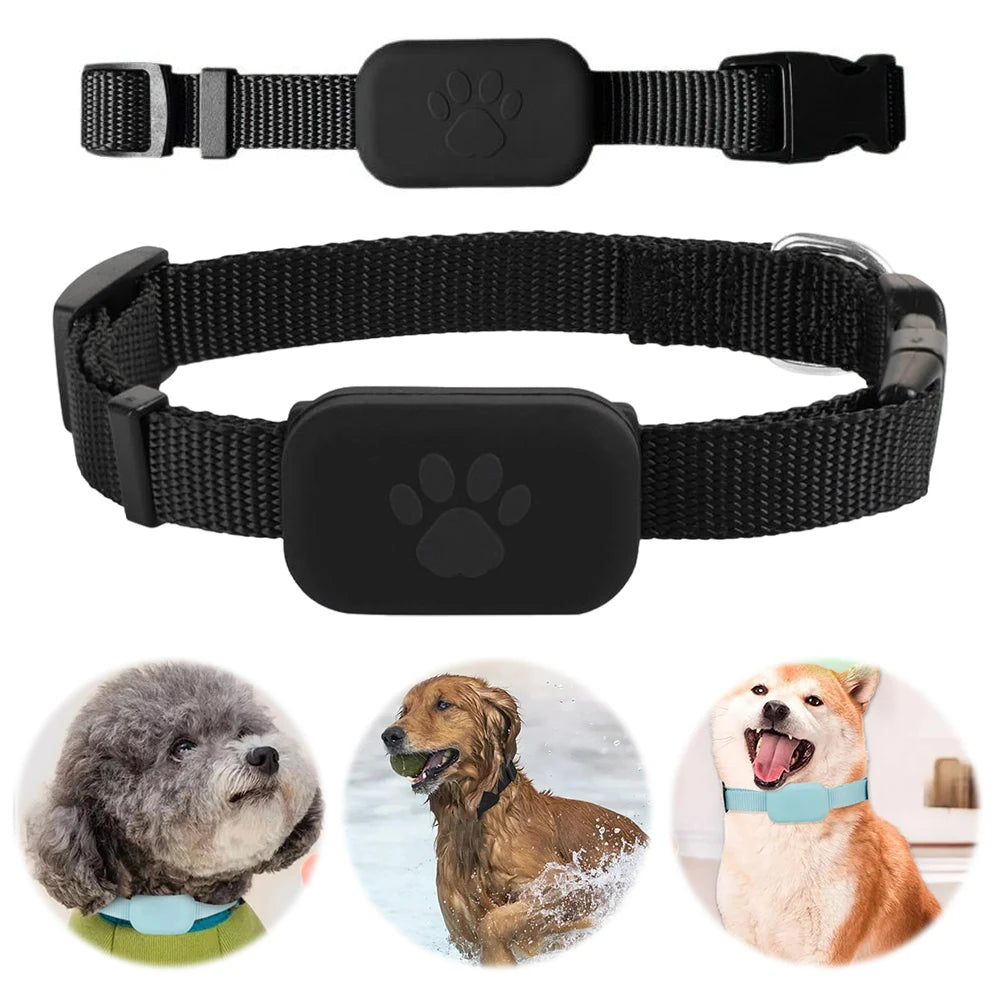 Adjustable Smart Pet Tracker Collar for Dogs and Cats by PetZync