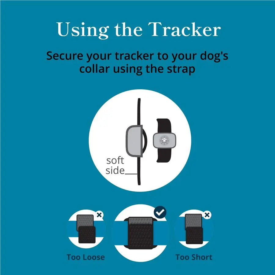 Smart GPS Dog Tracker with Real-Time Location and Activity Monitoring by PetZync
