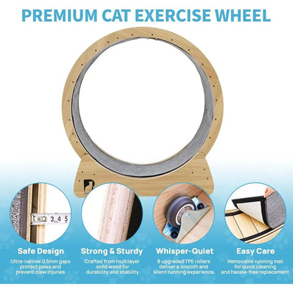 43-Inch Indoor Cat Exercise Wheel with Safety Lock by PetZync