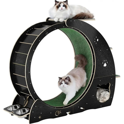 4-in-1 Indoor Cat Exercise Wheel with Scratcher, Hideaway and Feeding Station by PetZync