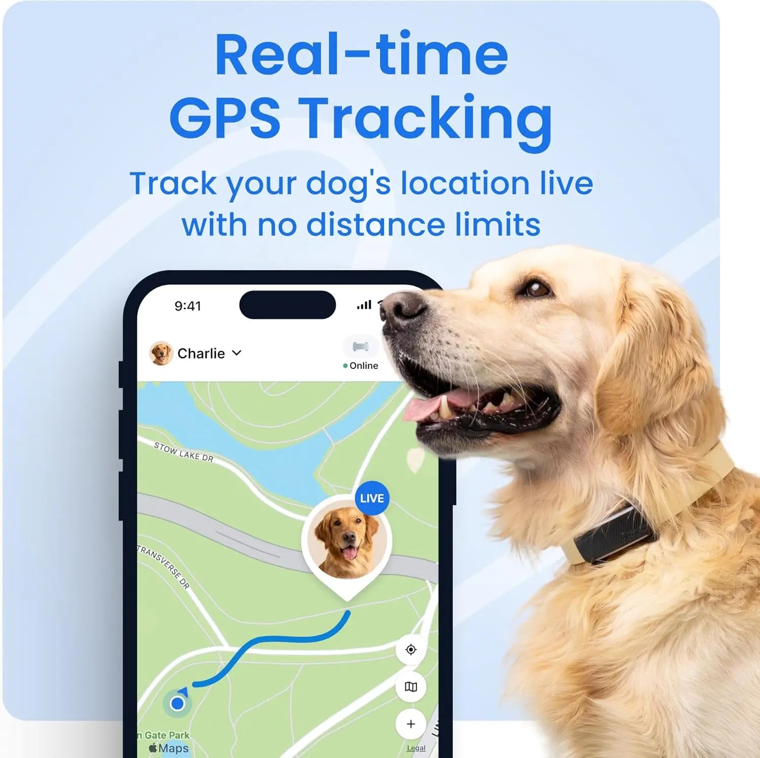 Smart GPS Dog Tracker with Live Tracking, Health Monitoring, and Virtual Fence by PetZync