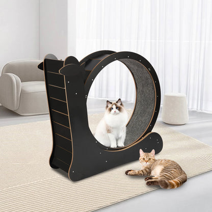Indoor Cat Exercise Wheel with Carpeted Runway by PetZync