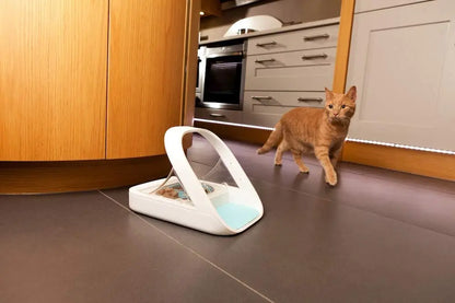 Microchip Pet Feeder for Wet or Dry Food with RFID Tag Compatibility by PetZync