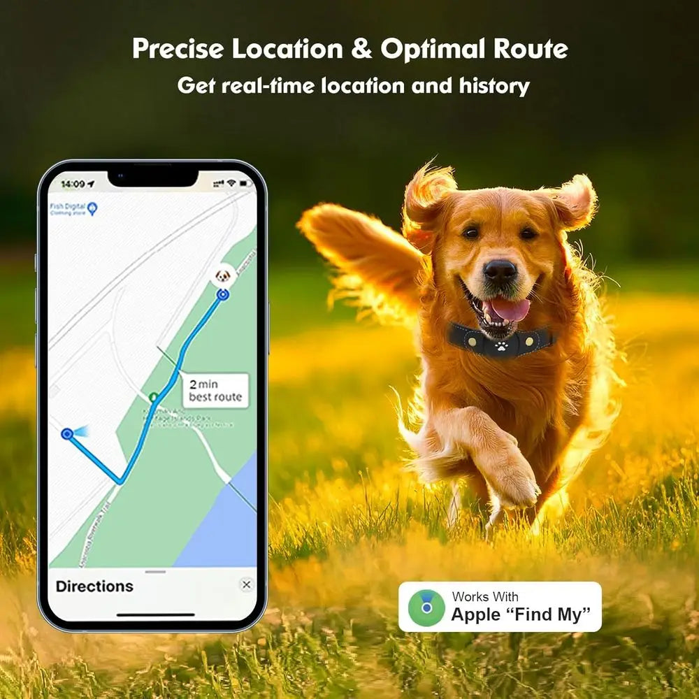 iOS Dog Tracking Collar with Apple Find My Support, No Monthly Fee by PetZync