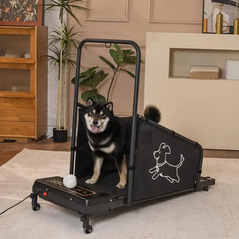 Dog Treadmill for Medium Dogs with LED Display and Remote Control by PetZync