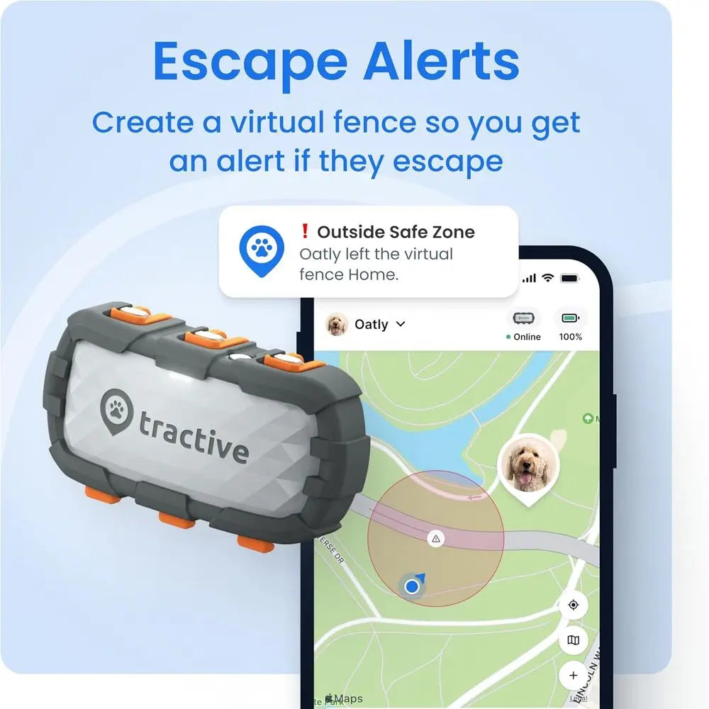 XL Smart GPS Dog Tracker with Virtual Fence, Health Monitoring, and 1-Month Battery by PetZync