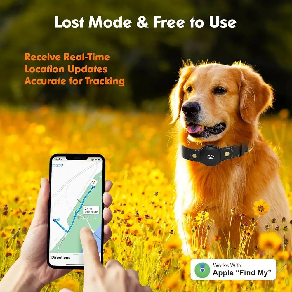 iOS Dog Tracking Collar with Apple Find My Support, No Monthly Fee by PetZync