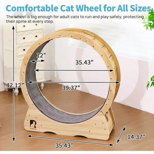 43-Inch Indoor Cat Exercise Wheel with Safety Lock by PetZync