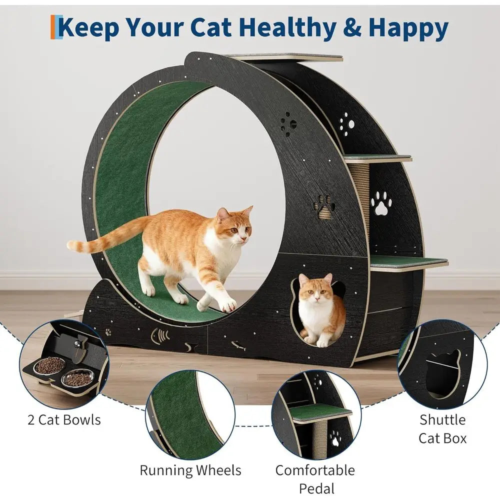 4-in-1 Indoor Cat Exercise Wheel with Scratcher, Hideaway and Feeding Station by PetZync