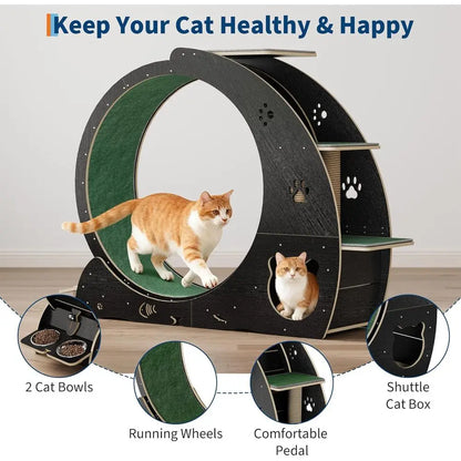 4-in-1 Indoor Cat Exercise Wheel with Scratcher, Hideaway and Feeding Station by PetZync