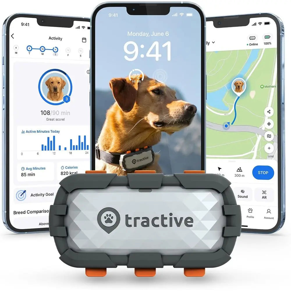 XL Smart GPS Dog Tracker with Virtual Fence, Health Monitoring, and 1-Month Battery by PetZync