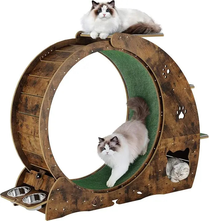 4-in-1 Indoor Cat Exercise Wheel with Scratcher, Hideaway and Feeding Station by PetZync