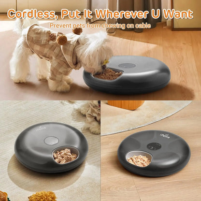 Cordless Automatic Wet & Dry Pet Feeder with Ice Packs and Programmable Timer by PetZync