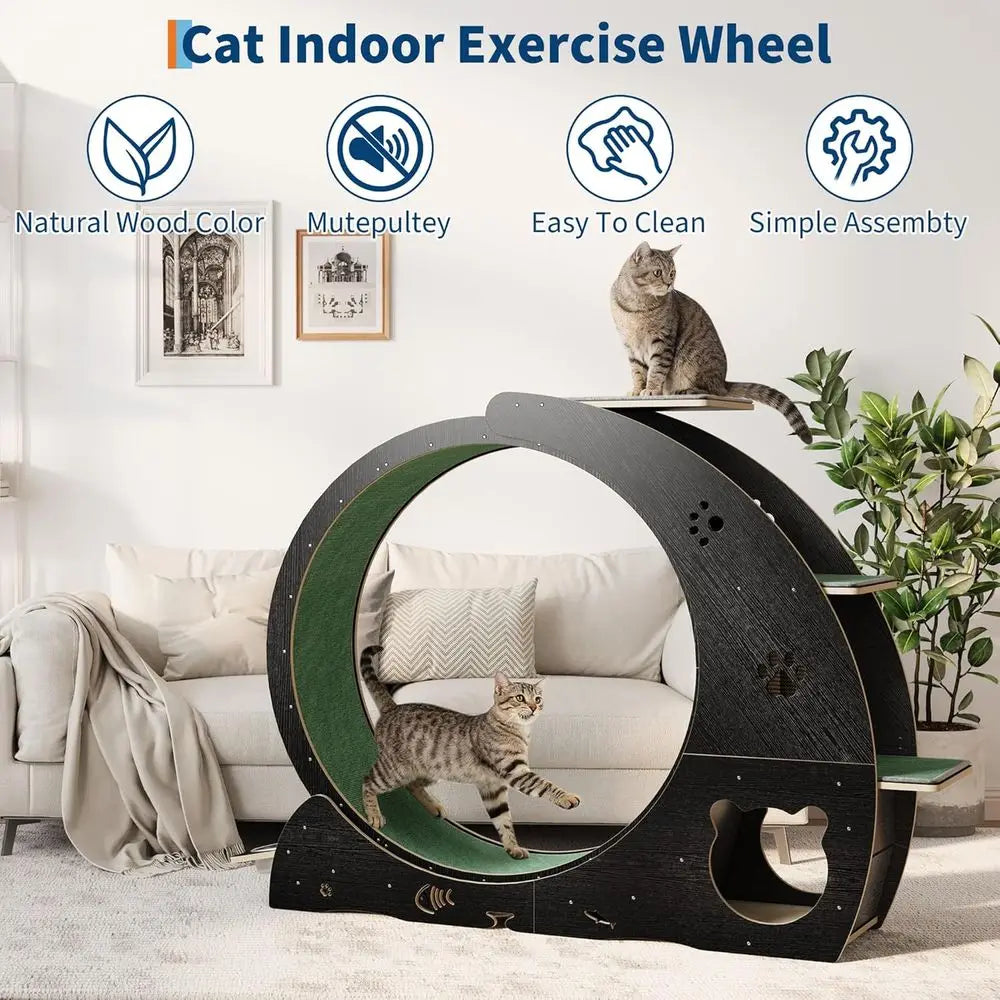 4-in-1 Indoor Cat Exercise Wheel with Scratcher, Hideaway and Feeding Station by PetZync