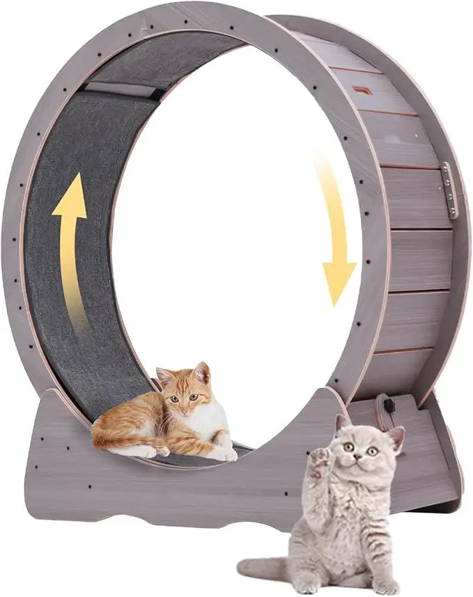 43-Inch Indoor Cat Exercise Wheel with Safety Lock by PetZync