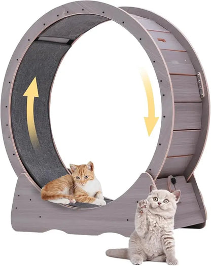 43-Inch Indoor Cat Exercise Wheel with Safety Lock by PetZync